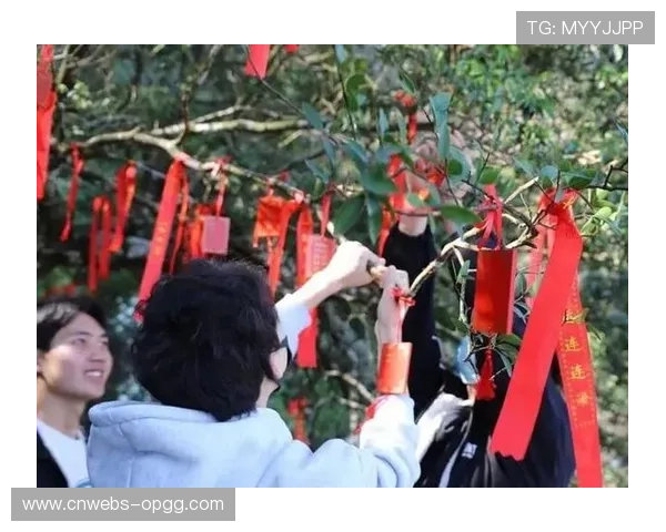 影珠山登高祈福大会结合体育与文化旅游，吸引全民参与